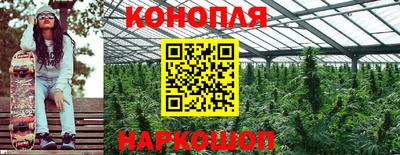 кокс Новодвинск