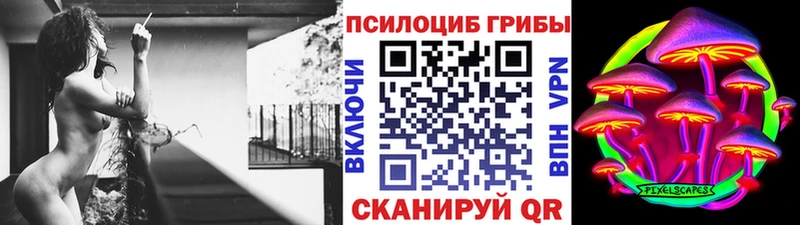 Псилоцибиновые грибы Cubensis  Балашов 