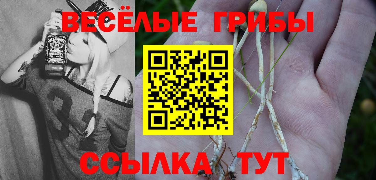 Балашов  Псилоцибиновые грибы MAGIC MUSHROOMS  Вход с VPN 
