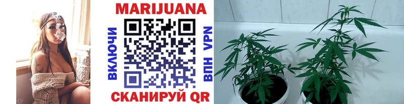 hydra зеркало  купить  сайты  Балашов  Канабис MAZAR 